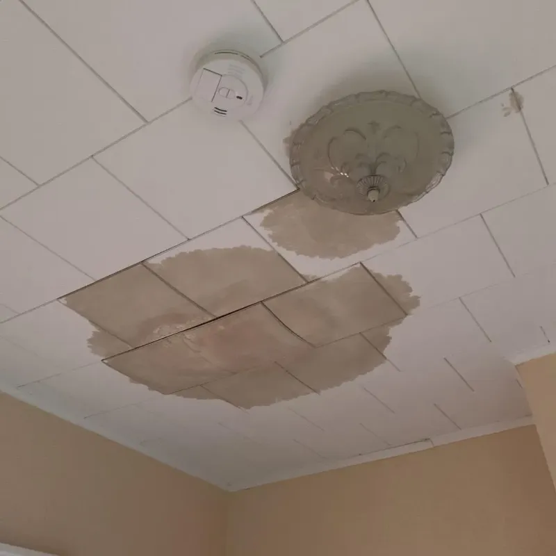Ceiling Water Damage Repair in Bibb County, AL