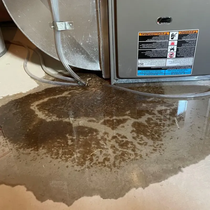 Pipe Burst and Leak Restoration in Bibb County, AL