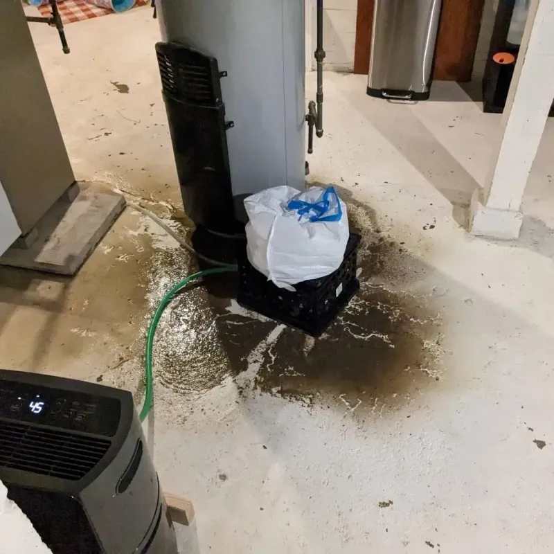 Sewage Backup Cleanup Service in Bibb County, AL